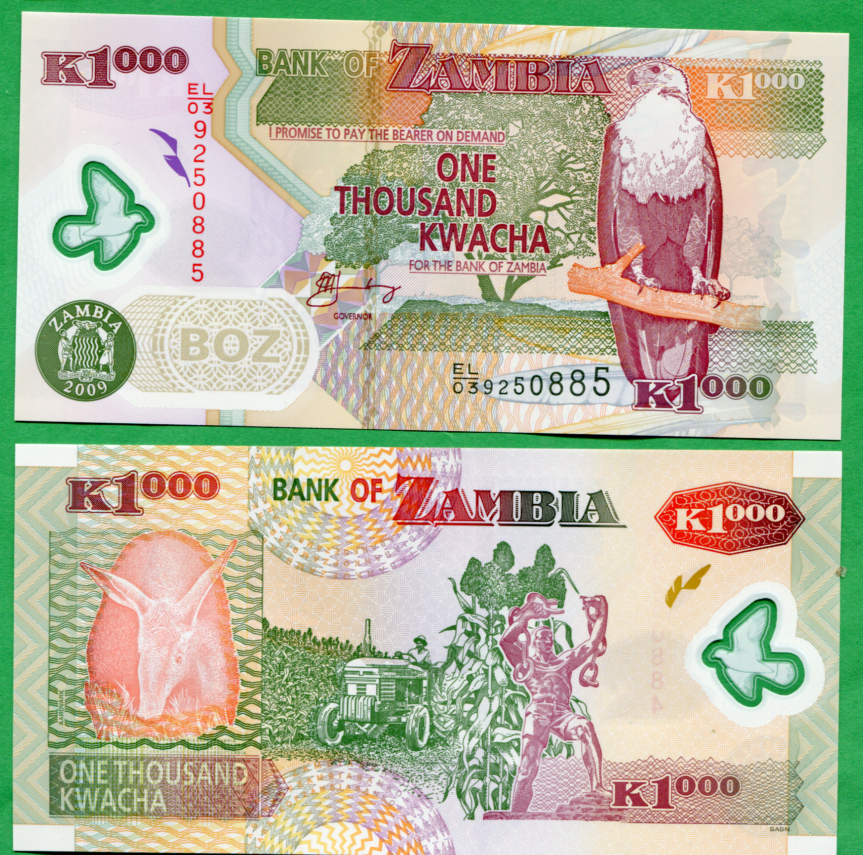 1000 kwacha